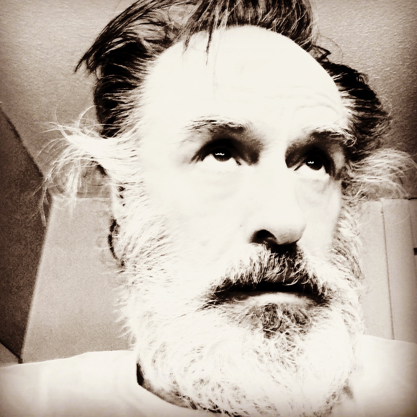 Harry Goaz