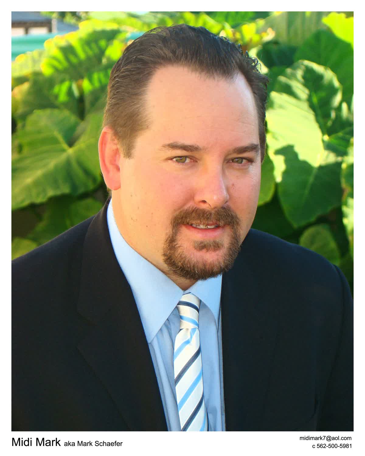 Mark Schaefer