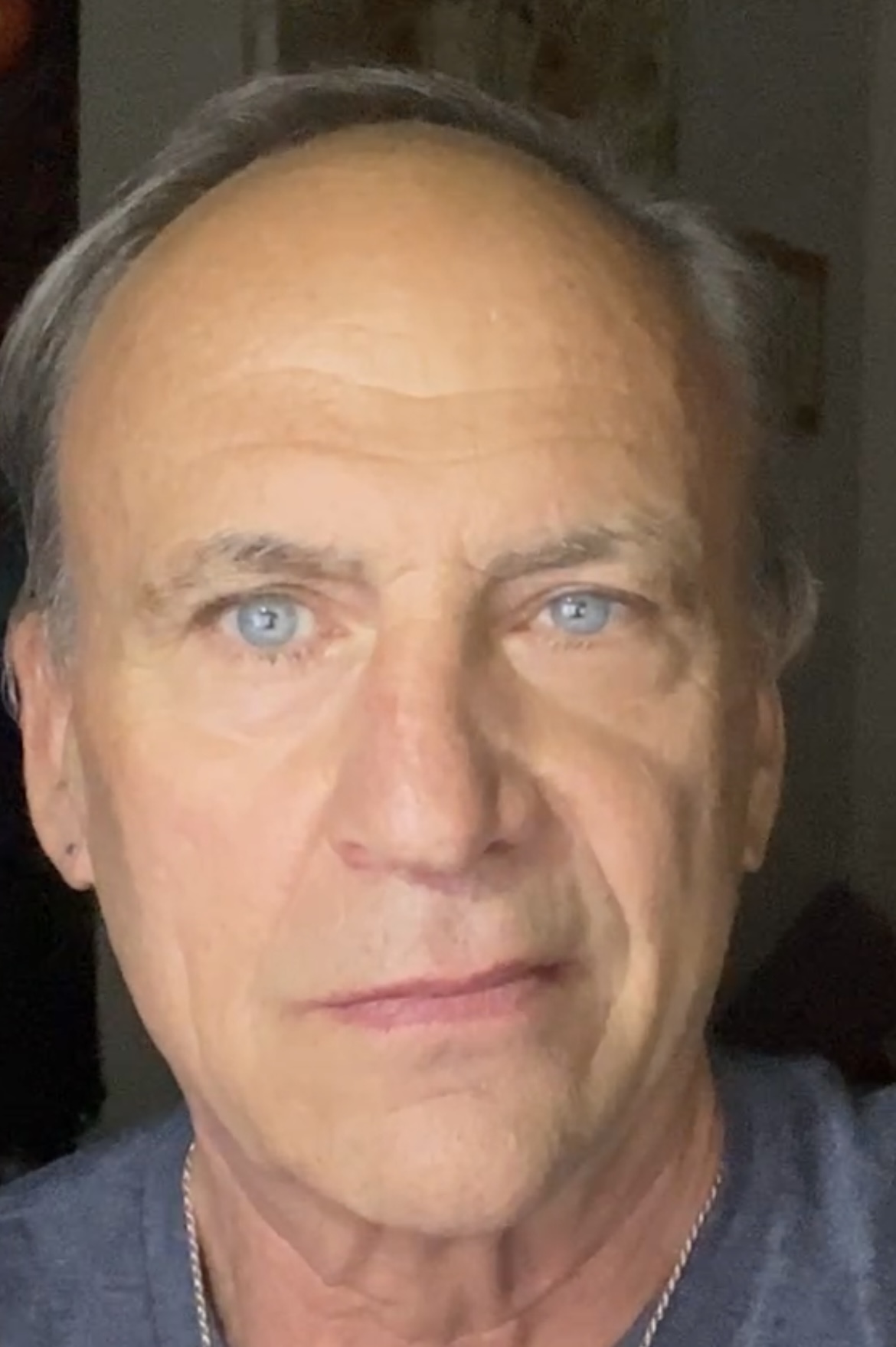 Van Quattro