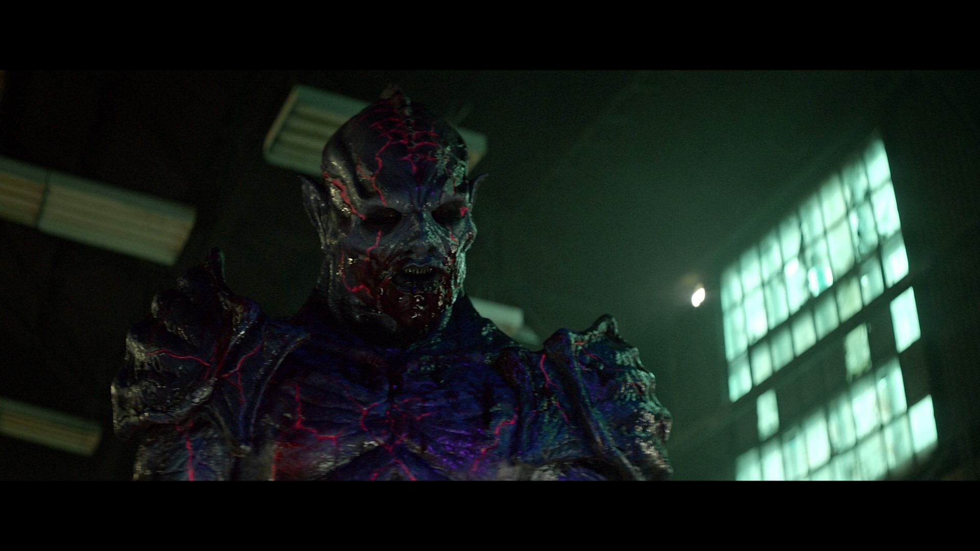 A modern cult-classic!