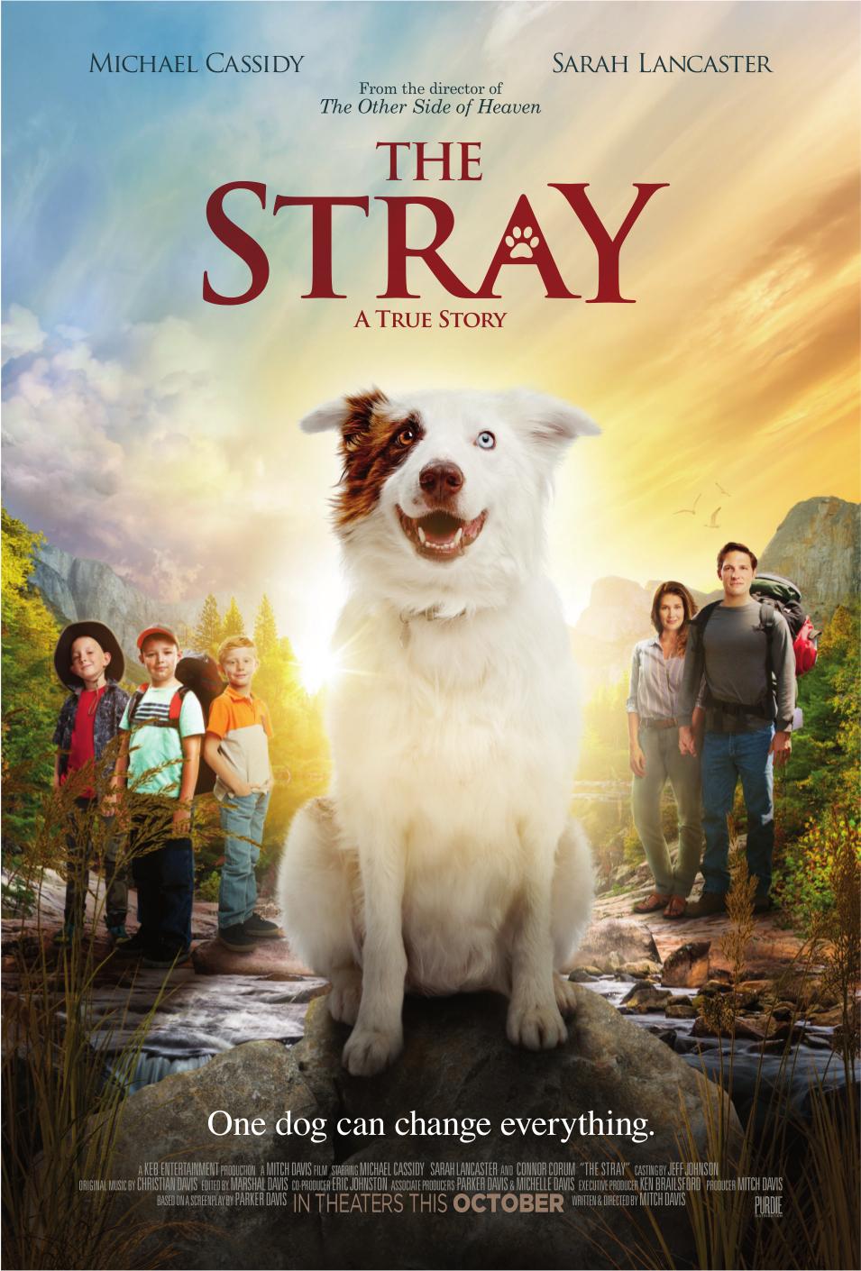The Stray_720p