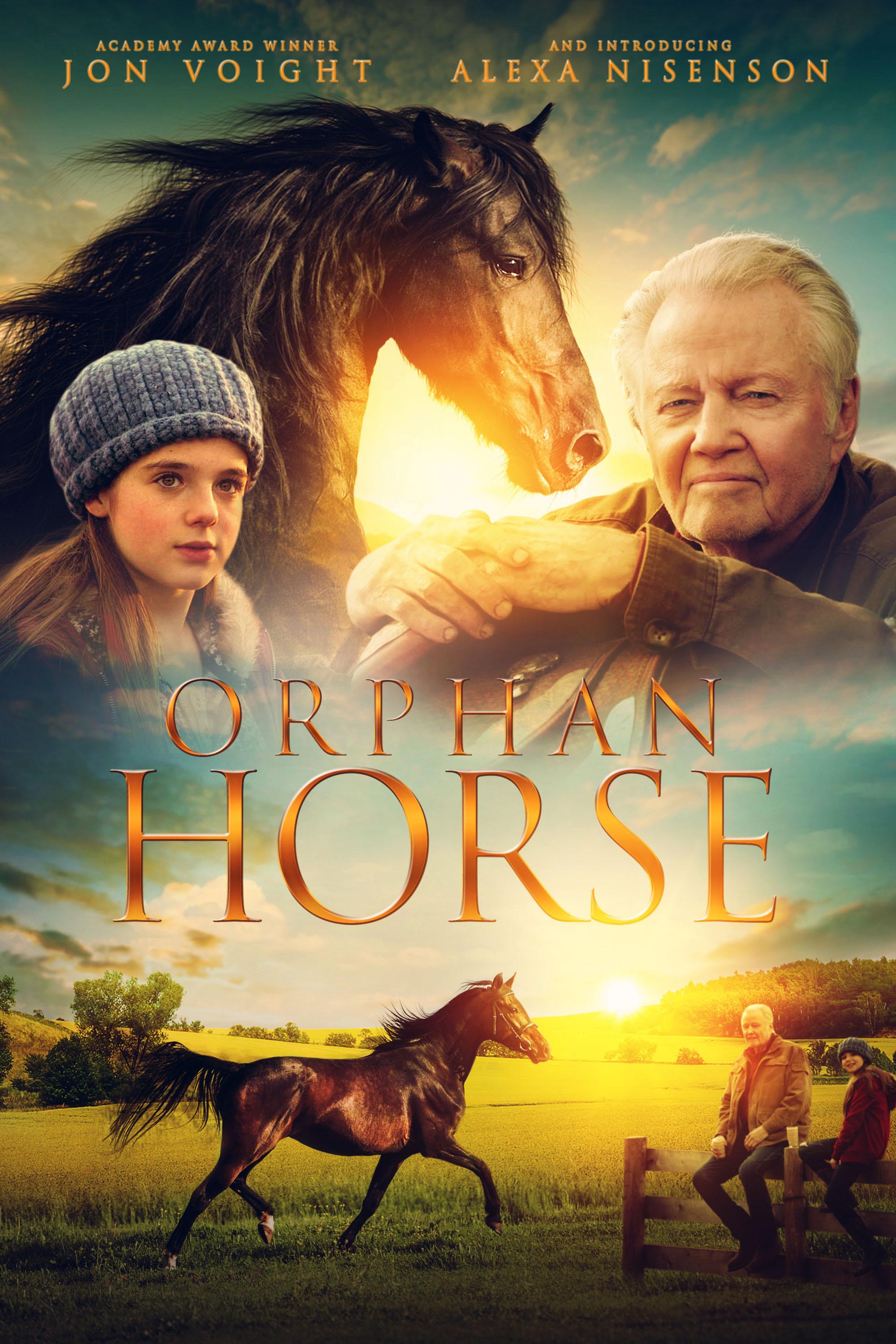 Orphan Horse_720p