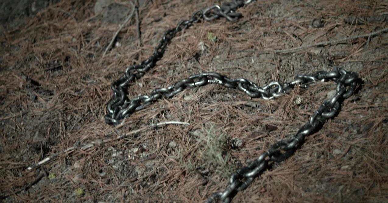 Quest for the Unicorn