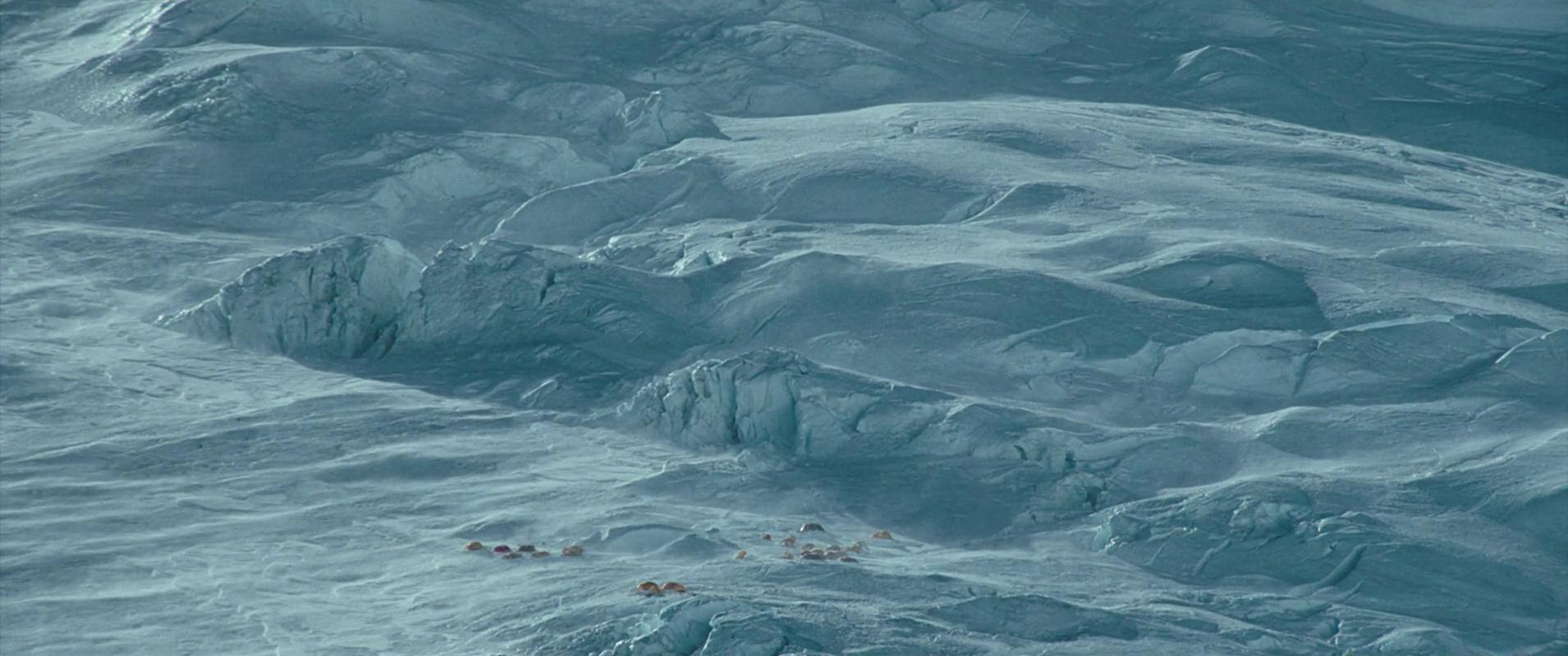 It's got more sting than one may think