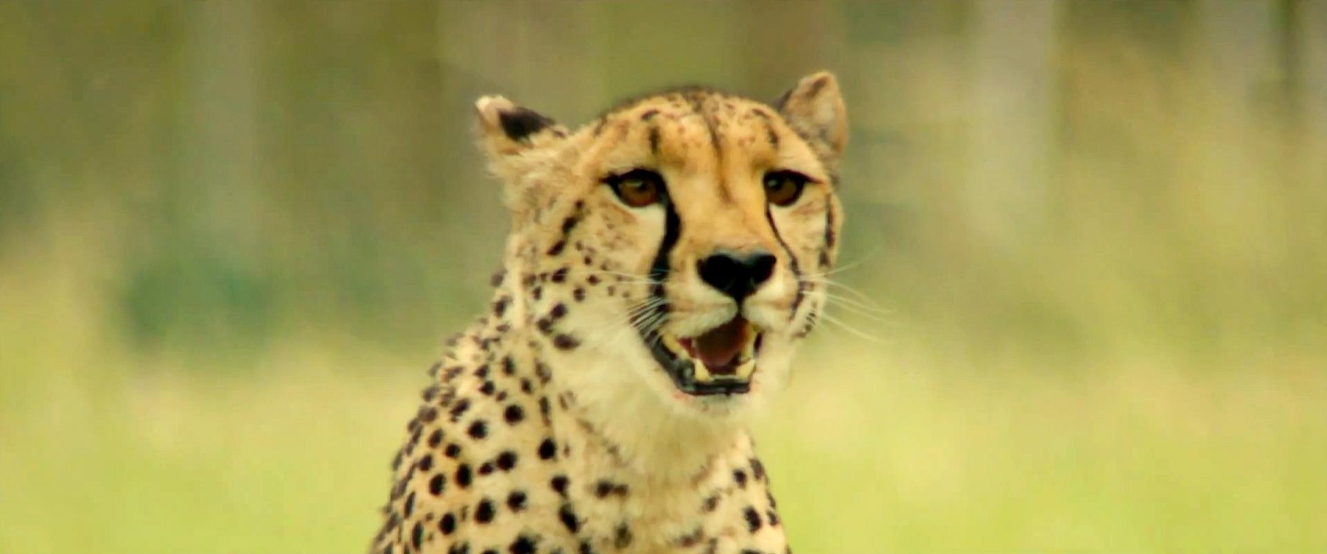 Inspirational but theologically inaccurate