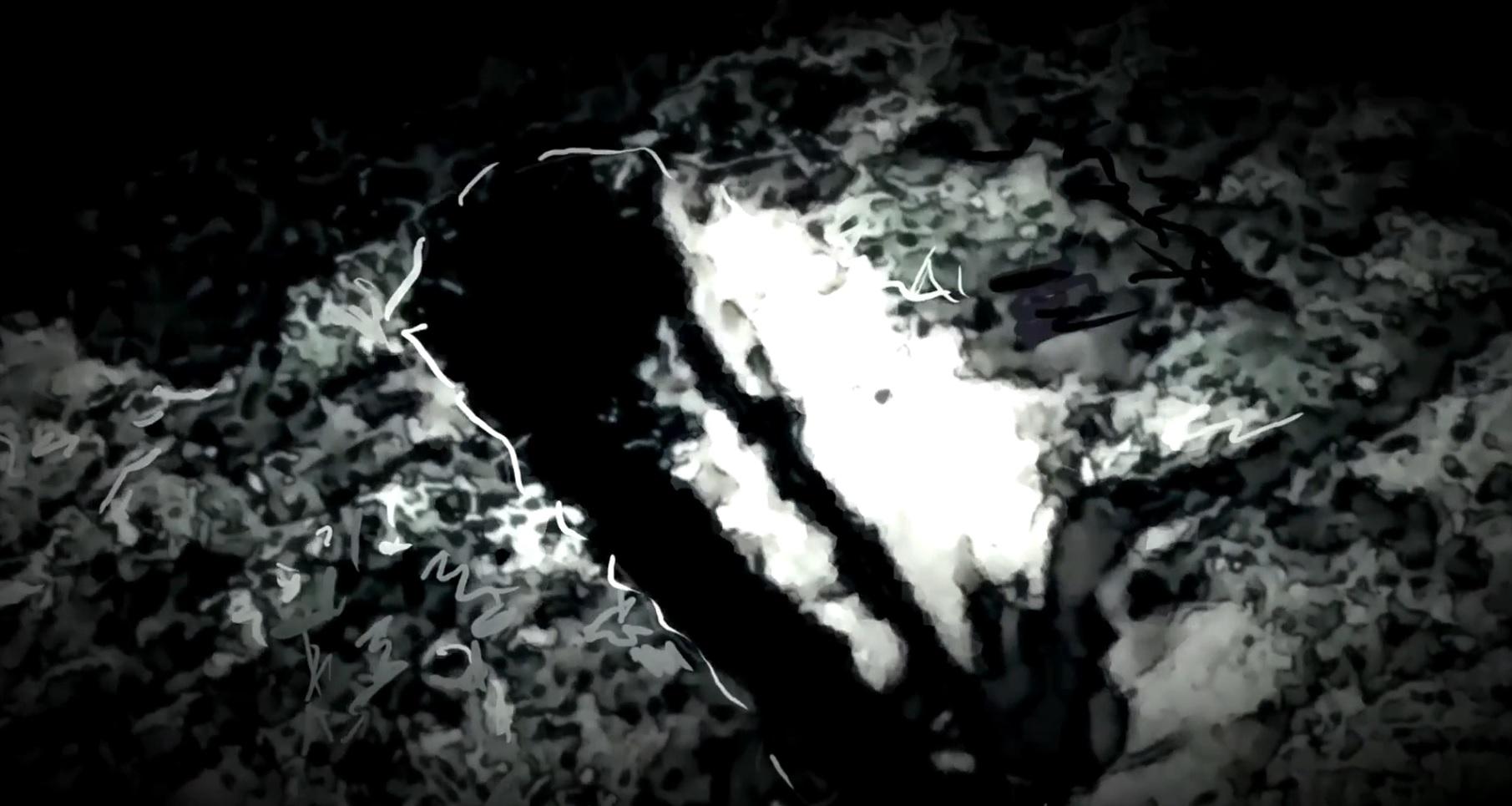 An exercise in stupidity