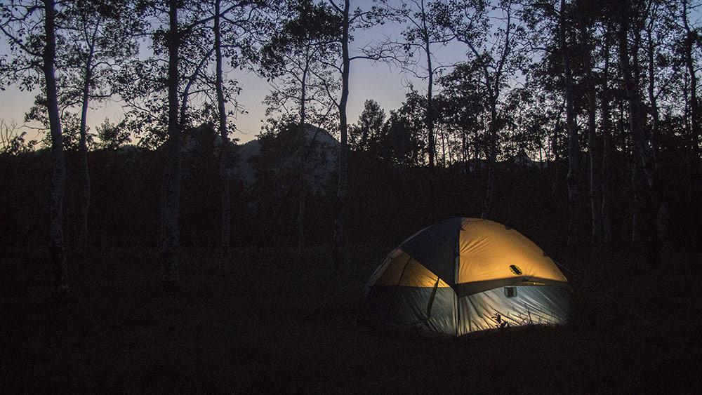 Boooooo! Garbage plot. Not a dog movie. Weird religious undertones and a true tradgedy of a movie.