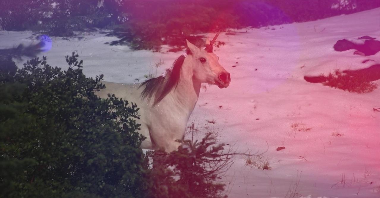 pretty visuals, weak acting