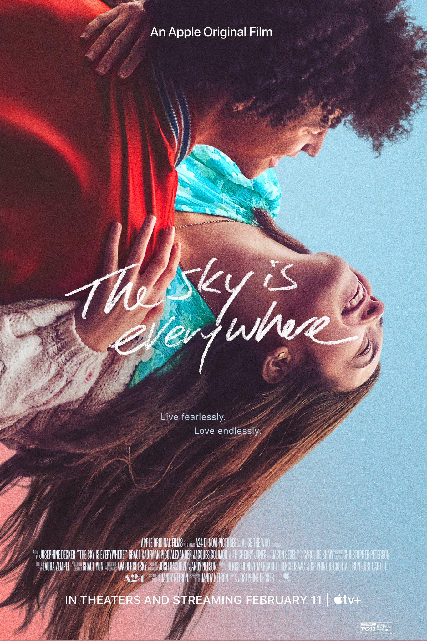 The Sky Is Everywhere-720P