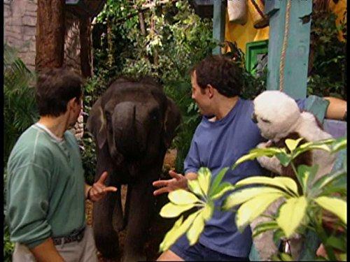 Martin Kratt
