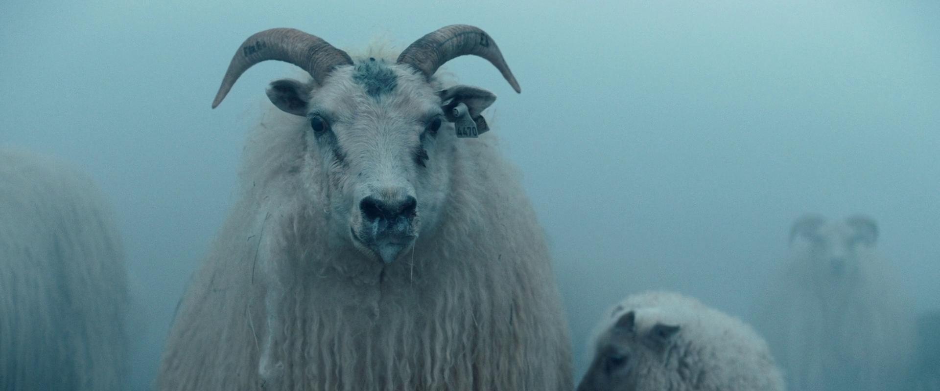 What's worse than a Slow-Burn?