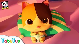 Don't Cry, Baby Kitten | Cute Pet Kitten Care | Christmas Song | BabyBus Cartoon