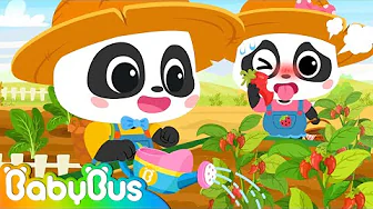 First Time at the Garden🍅🍆🌽 - Vegetables Song | Little Baby Panda World 5 | Nursery Rhymes | BabyBus