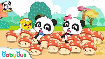 Where Do Mushroom Fairies Take Baby Panda to? | Math Kingdom Adventure | BabyBus