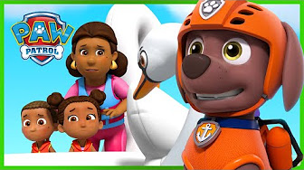 PAW Patrol | Rescue Episodes_se_1_ep_389_360P