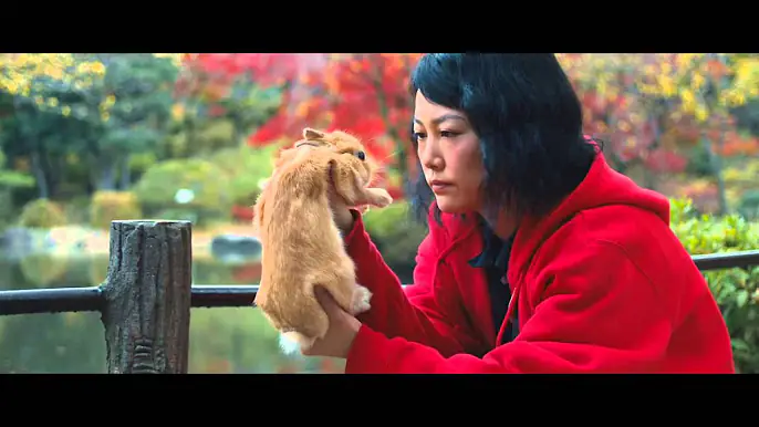 Moviecut—Treasure Hunters