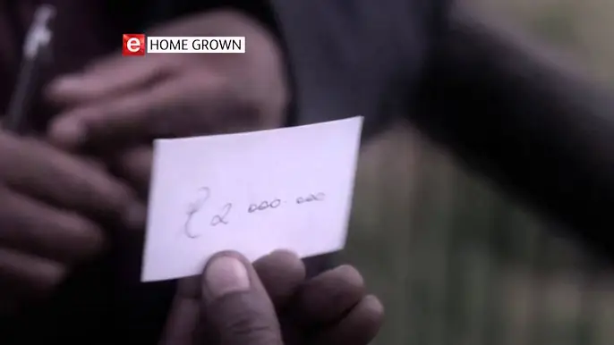 Moviecut—How to Steal 2 Million