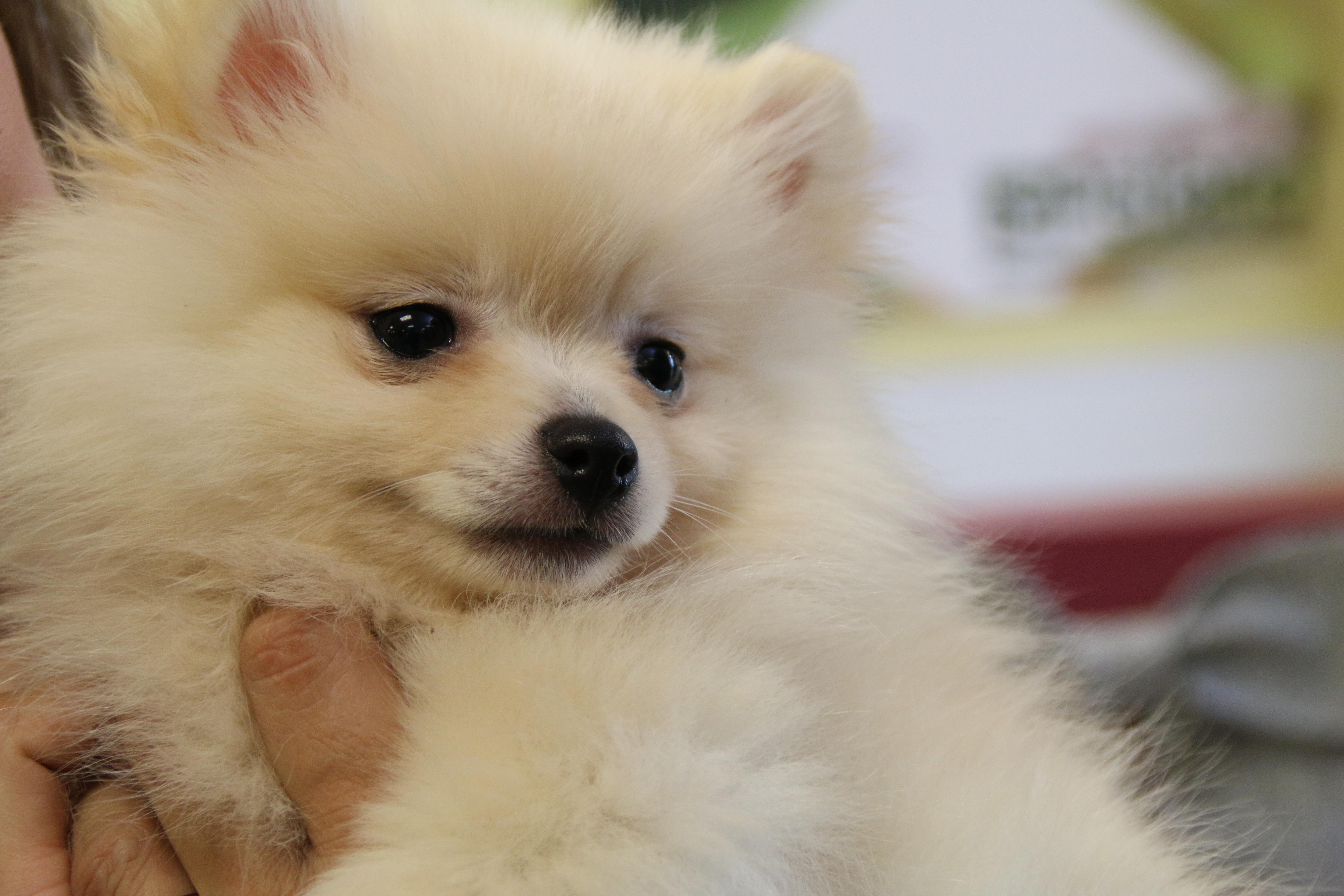 How did this movie get made, is my question