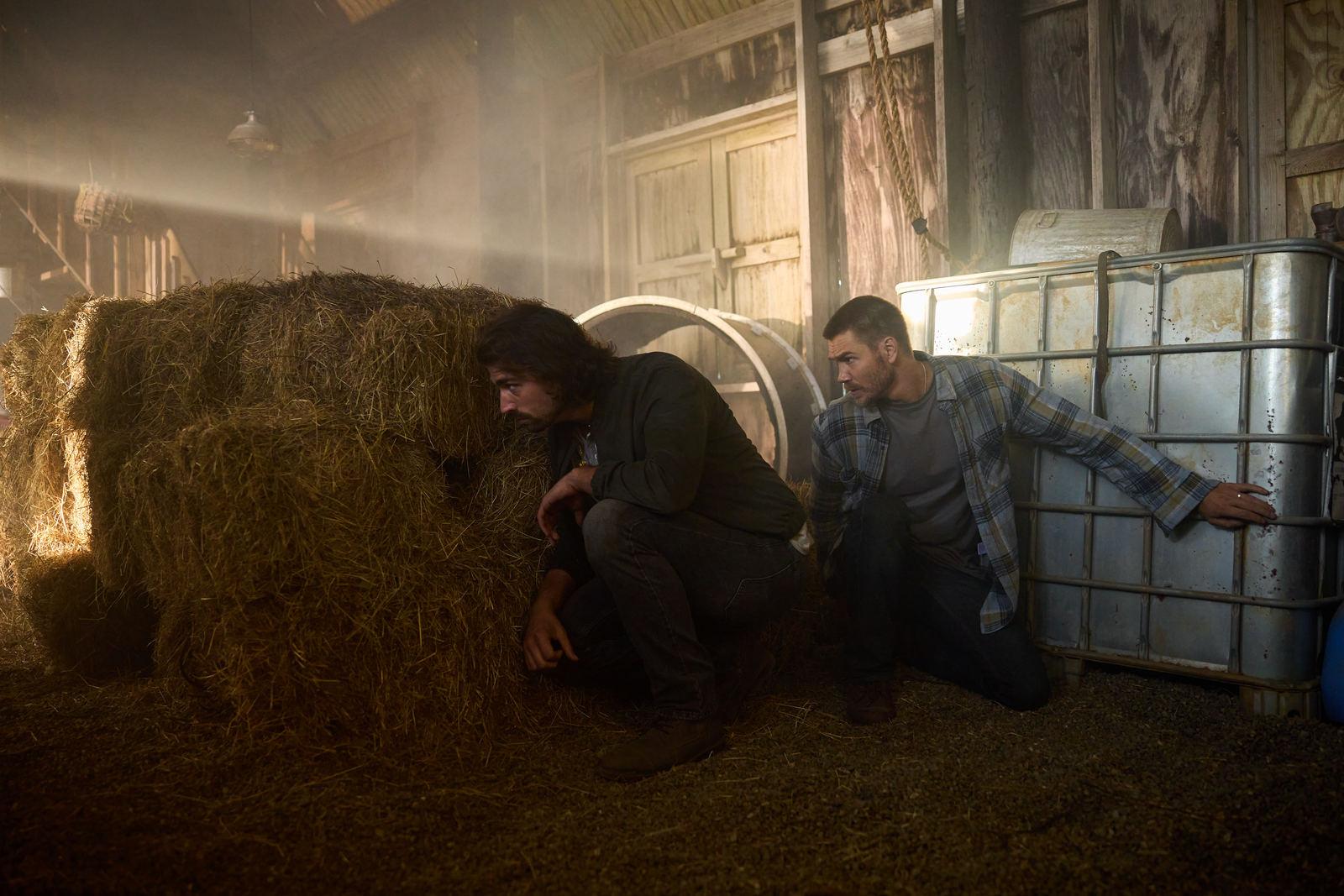 How come these movies get funded?