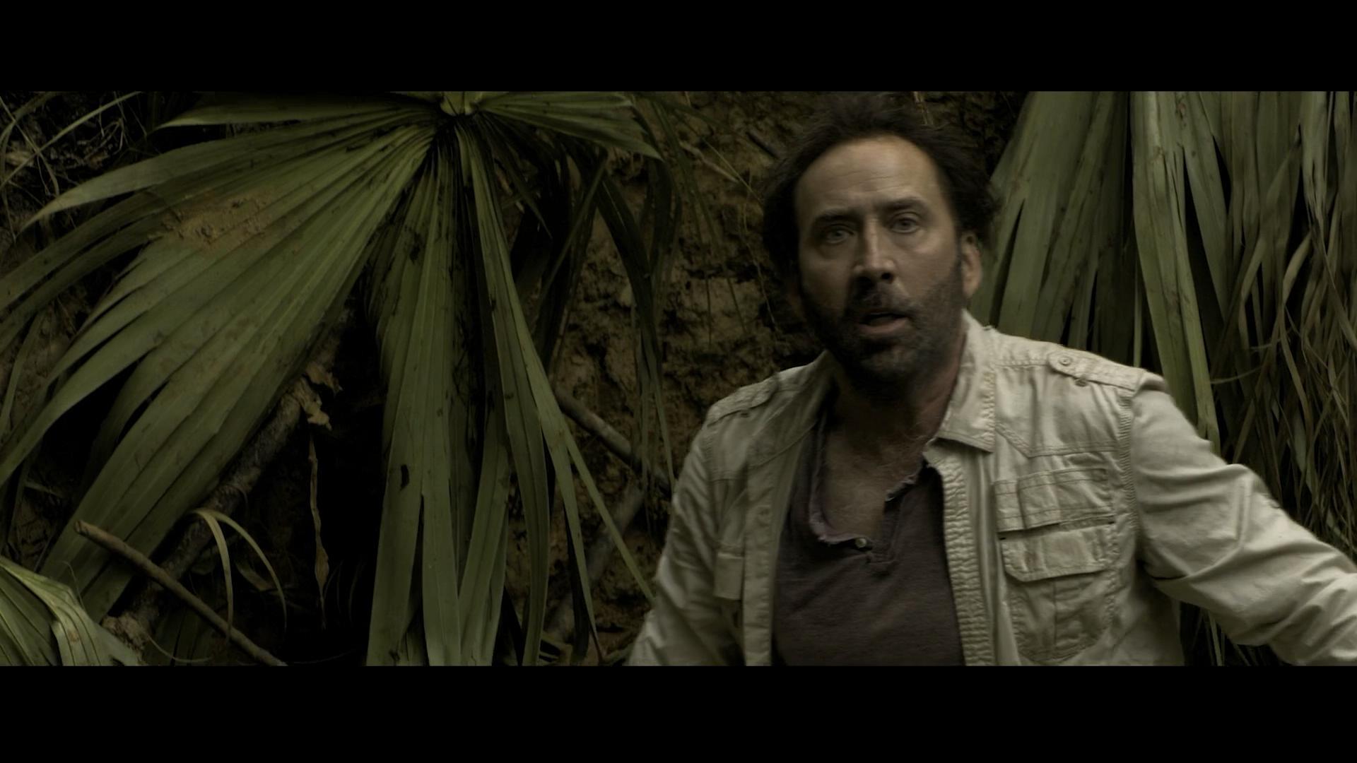 Why all the hate on Nick Cage