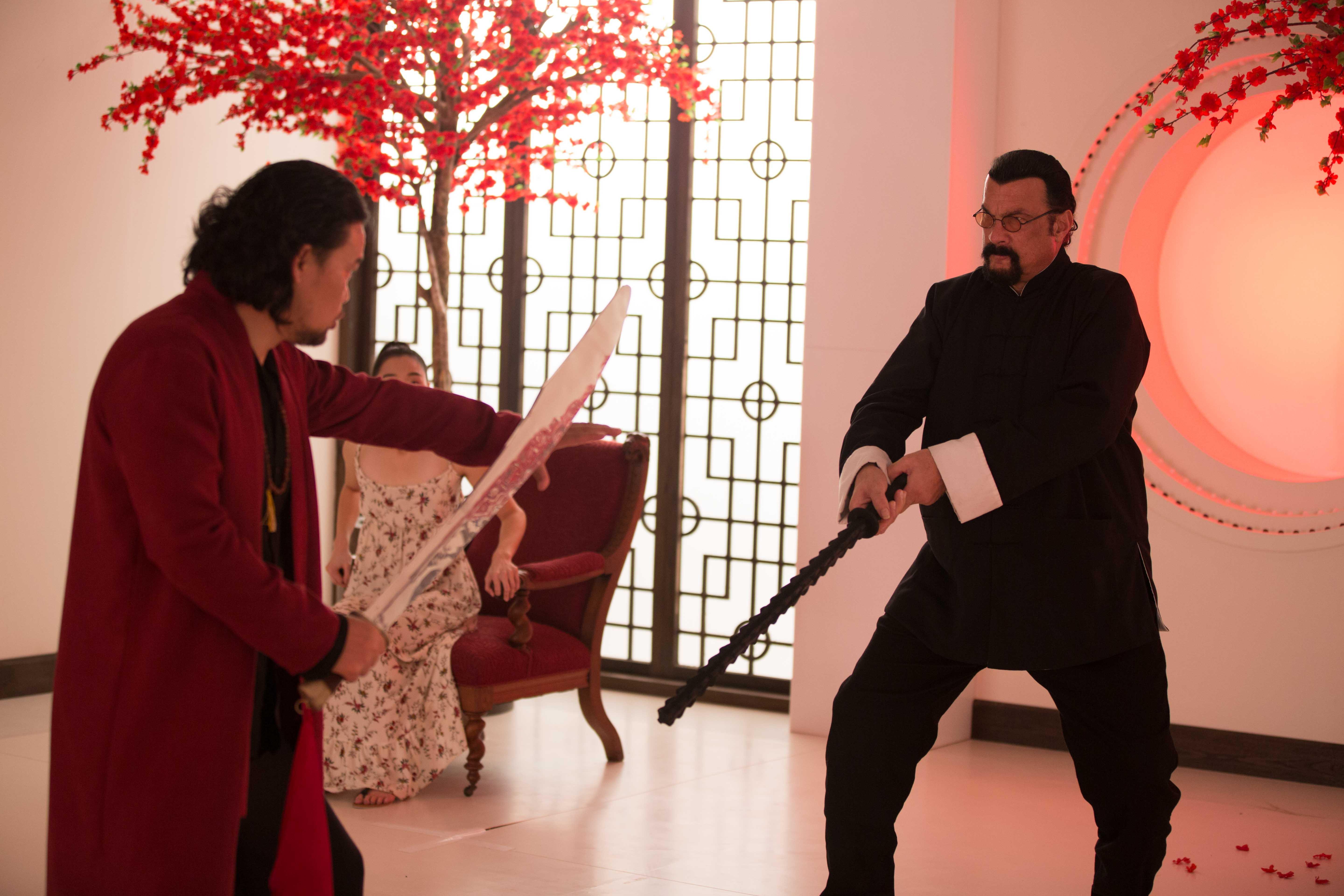 for seagal fans only