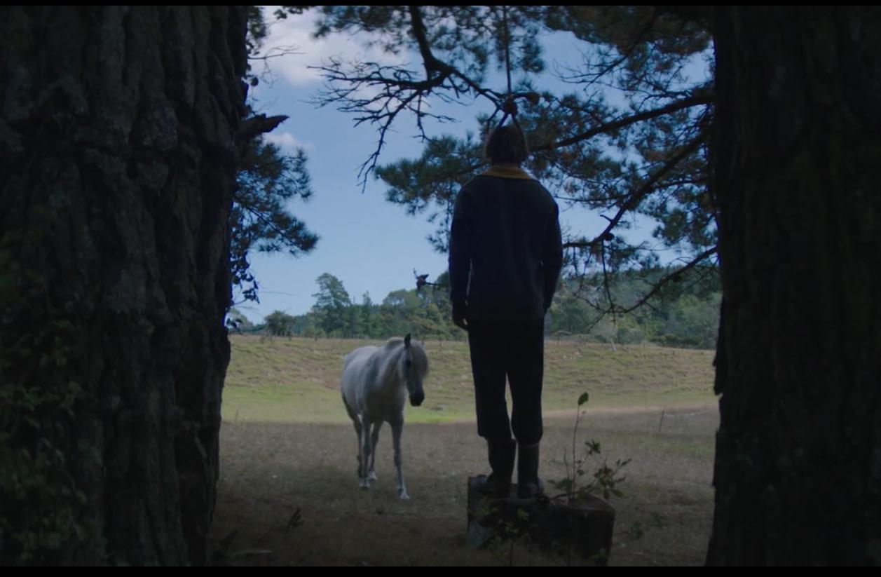 Charlotte steals this little gem of a film