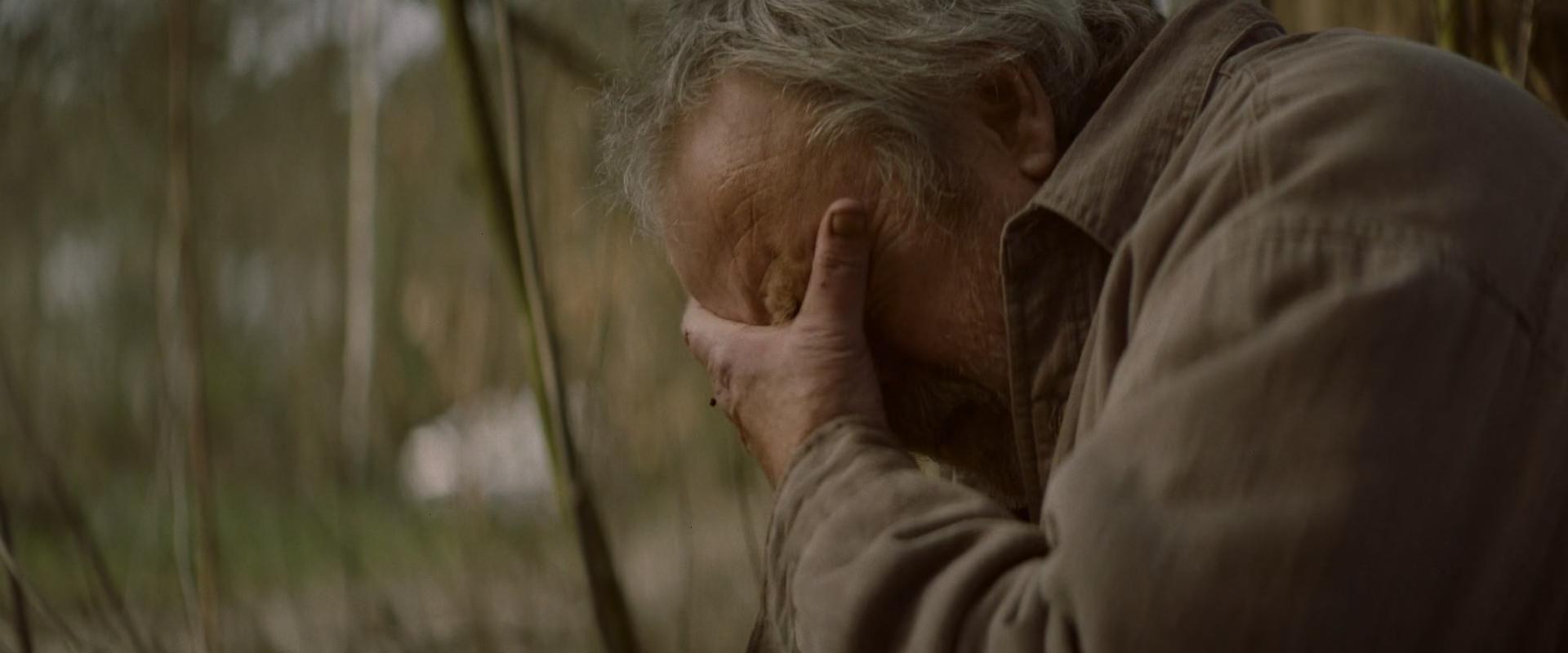 Everything you want from a horror movie