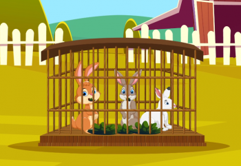 Animal Rearing-In the Farm -2-Not Just Hopping