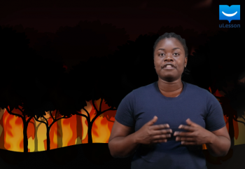 Environmental Hazards-Environmental Hazards -4-Bush Burning