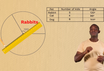 Statistics-Presenting Data -5-Pie Chart 2