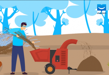 Environmental Hazards-Environmental Hazards -5-Deforestation