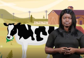 Resources from Living Things and Soil-Soil: Formation, Composition, Importance and Types -4-Composition and Importance of Soil