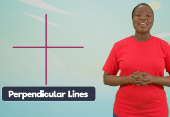 Geometry-Lines and Angles -14-Angles