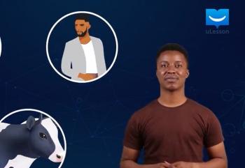 Nitrogen-Nitrogen Cycle -27-Nitrogen Cycle