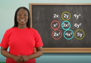 Algebra-Algebraic Expressions -3-Terms Involving Powers 2