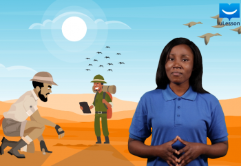 Vocabulary Development 2-Homonyms -1-Homographs