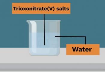 Nitrogen-Preparation and Tests for Trioxonitrate(V) Salts -24-Chemical Properties of Trioxonitrate(V) Salts