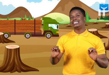 Parts of a Building-Floors -7-Timber Floors