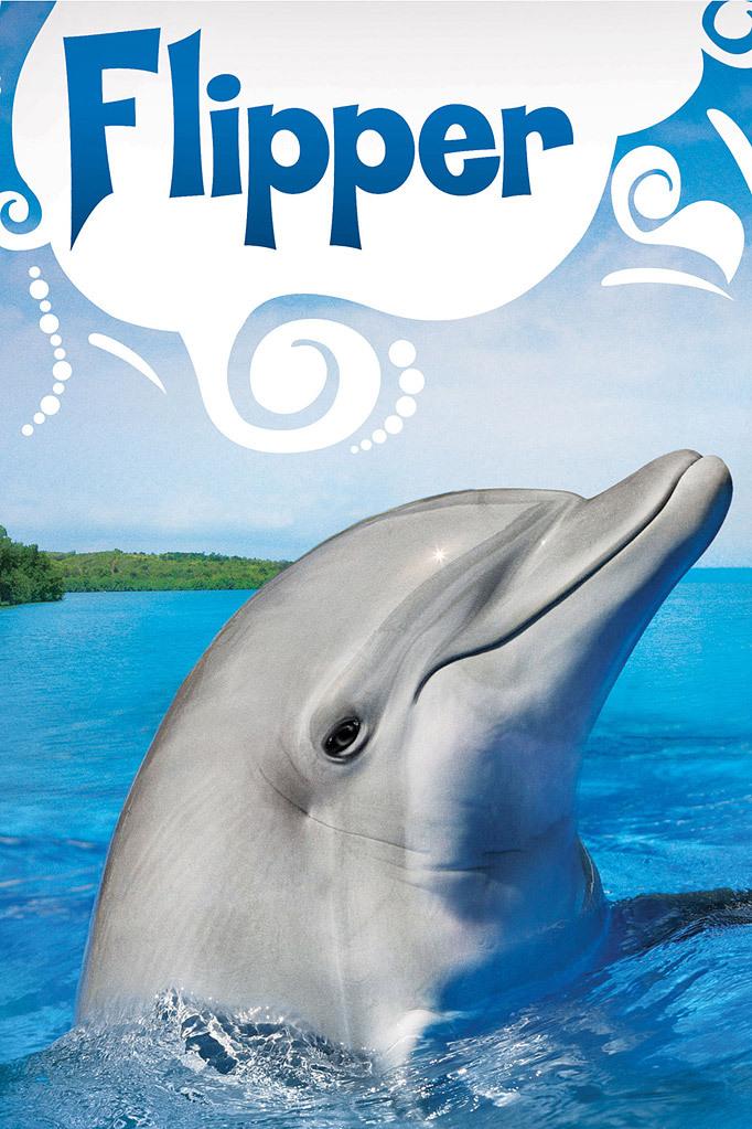 Poster Flipper S1-S3