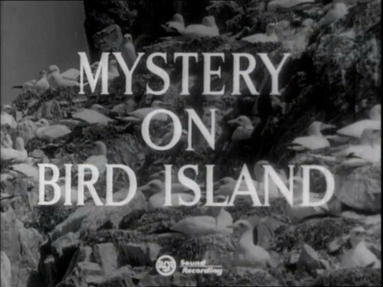 Mystery on Bird Island