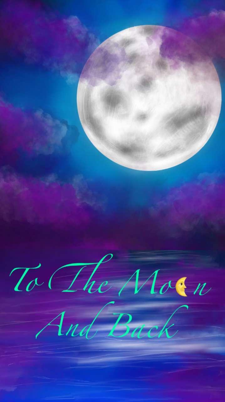 To the Moon an Back