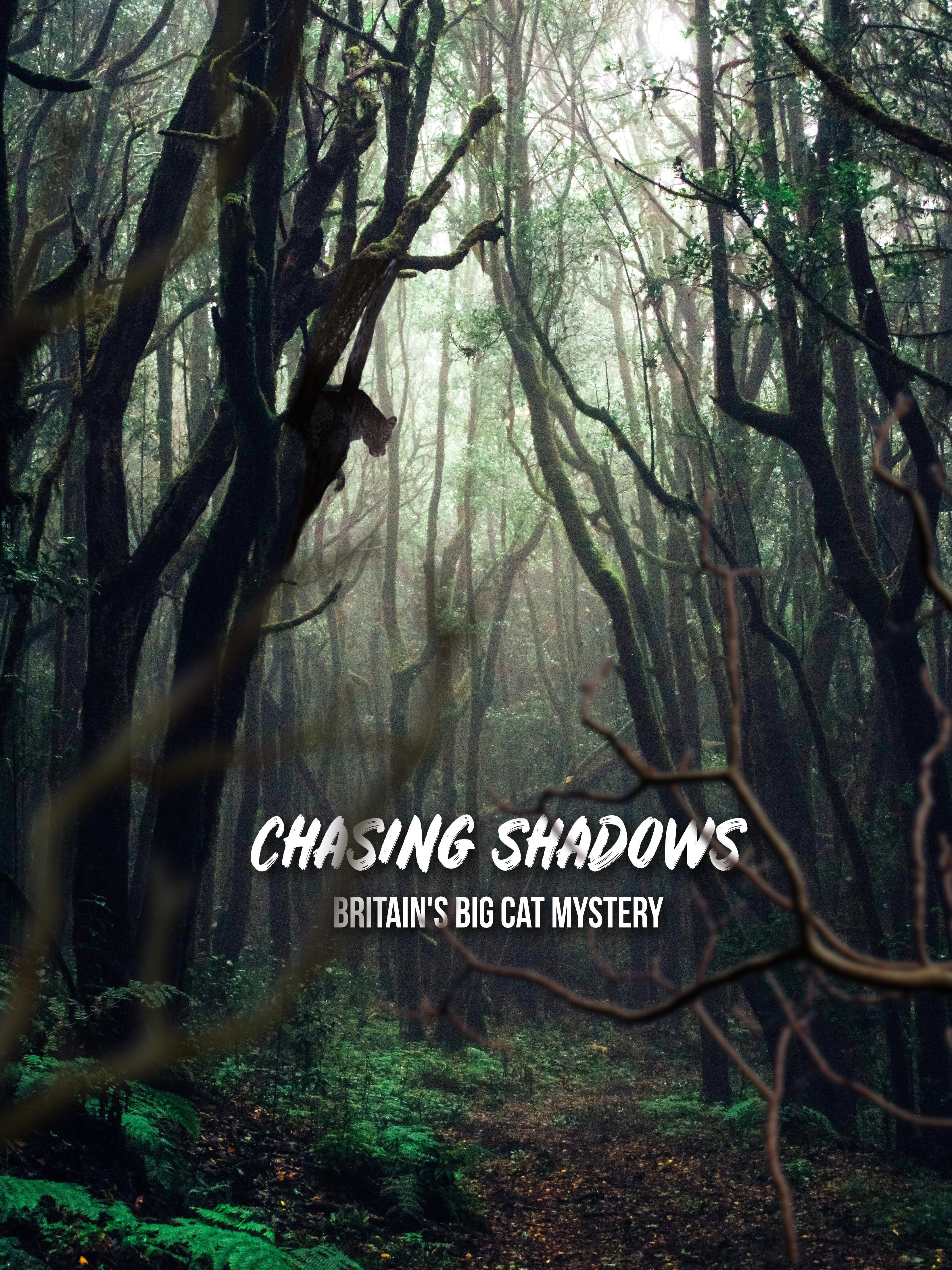 Chasing Shadows: Britain's Big Cat Mystery