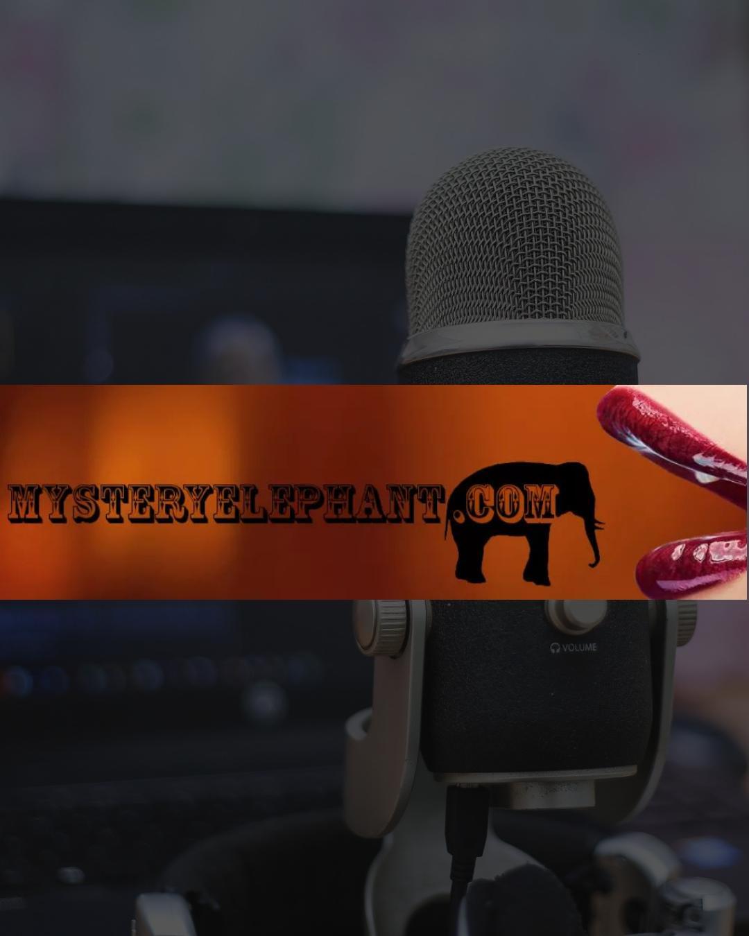 Mystery Elephant Radio