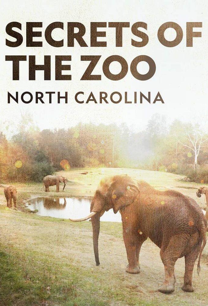 Poster Secrets of the Zoo: North Carolina
