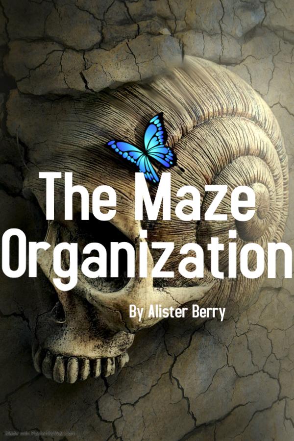 The Maze Organization