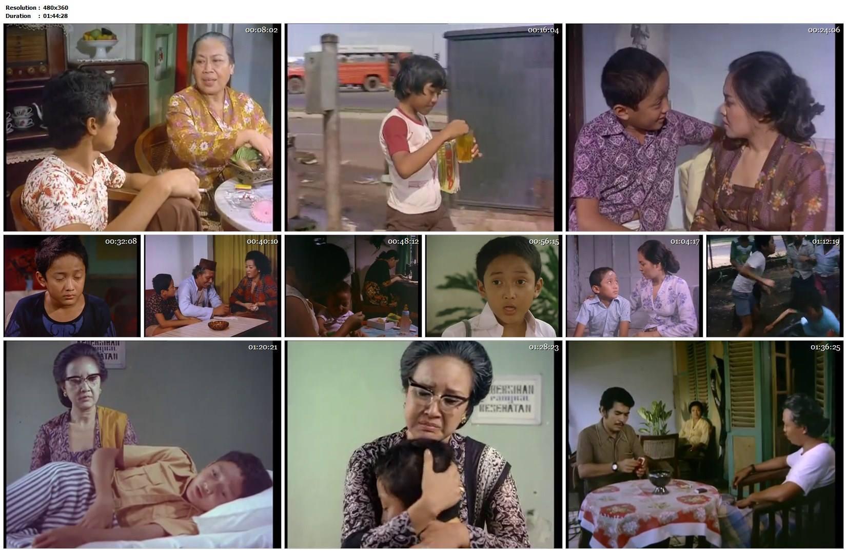 Rahasia Seorang Ibu (1977)