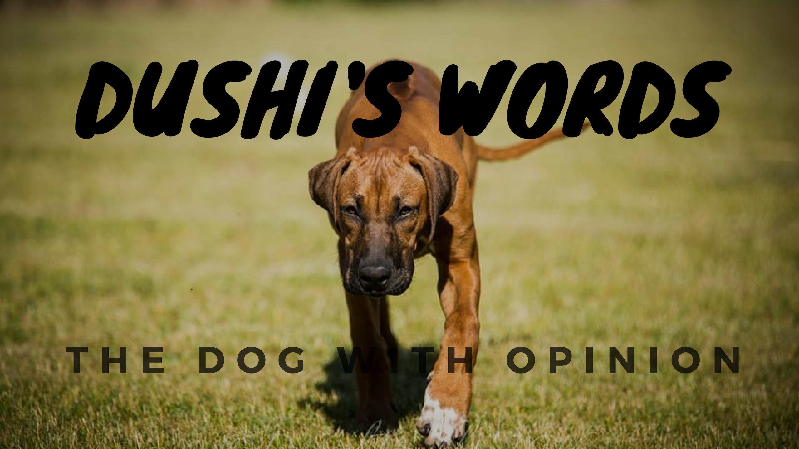 Dushi's Words