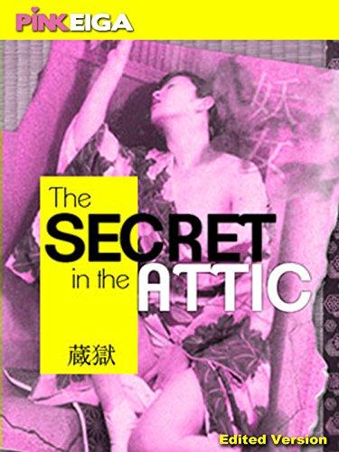 The Secret in the Attic-480P