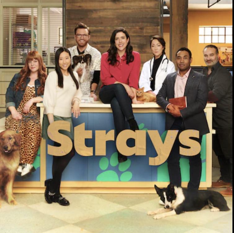 Strays-S2E10