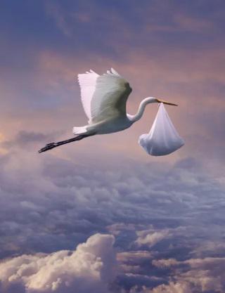Mrs. Stork